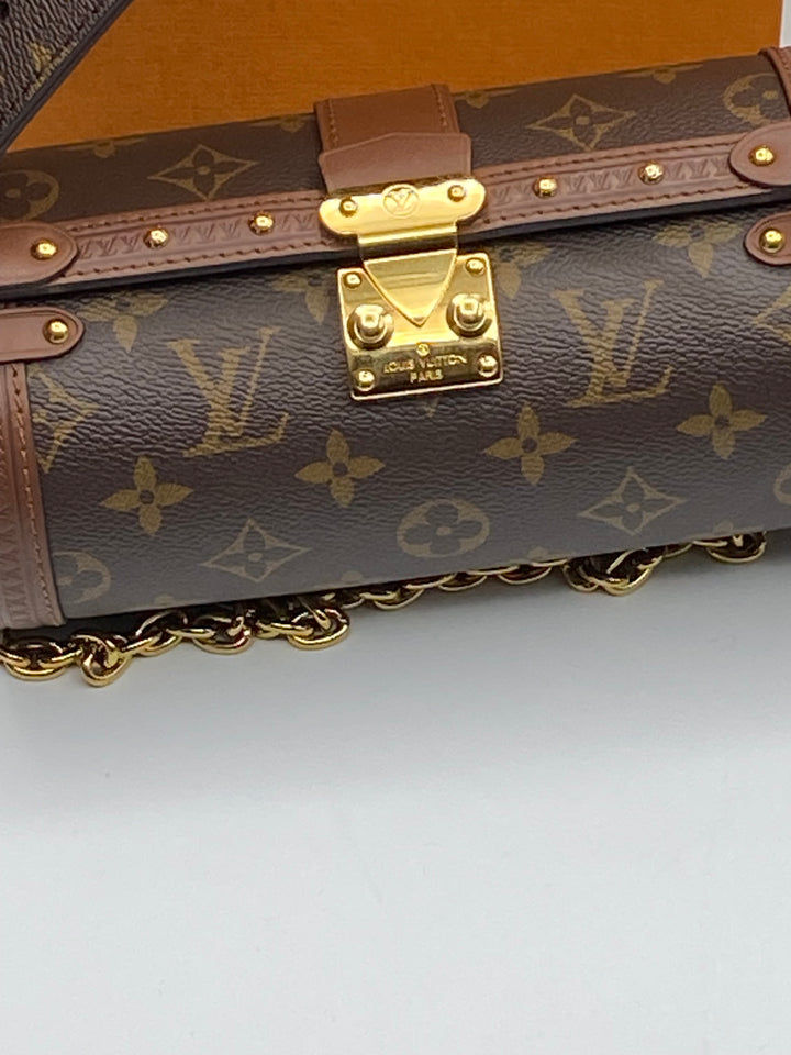 Louis Vuitton Papillon Trunk