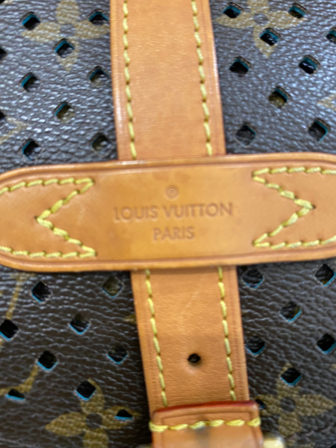Louis Vuitton Borsa Saumur 30 in tela e pelle con Monogram traforato