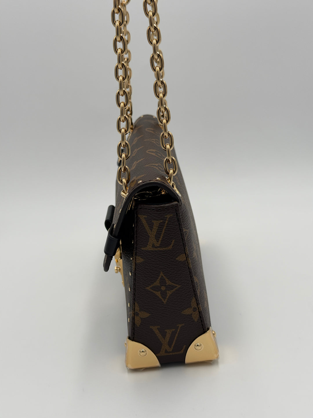 Louis Vuitton Trunkie East West