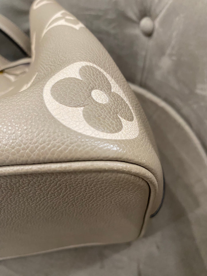Louis Vuitton Secchiello NéoNoé in Pelle
