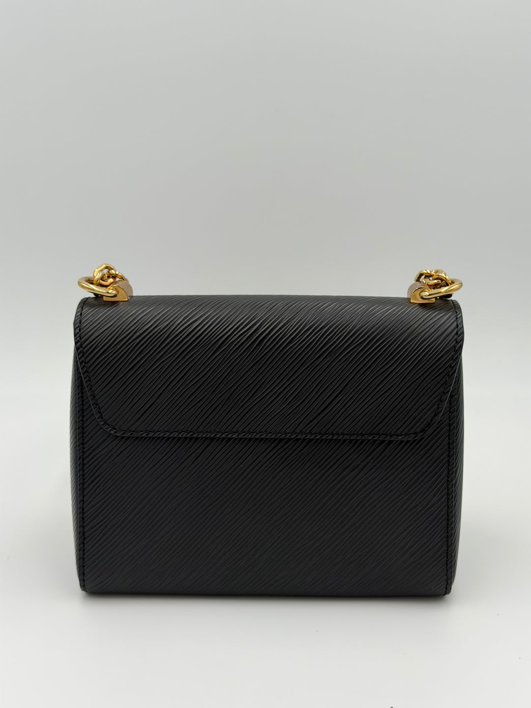 Louis vuitton twist PM