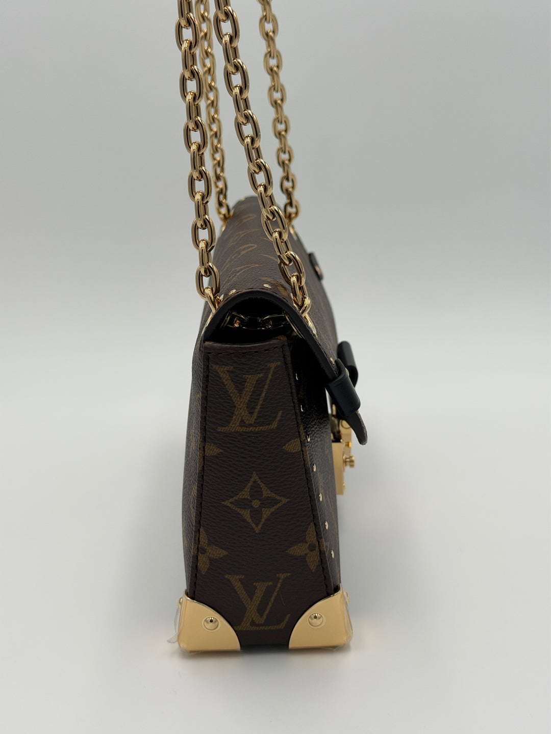 Louis Vuitton Trunkie East West
