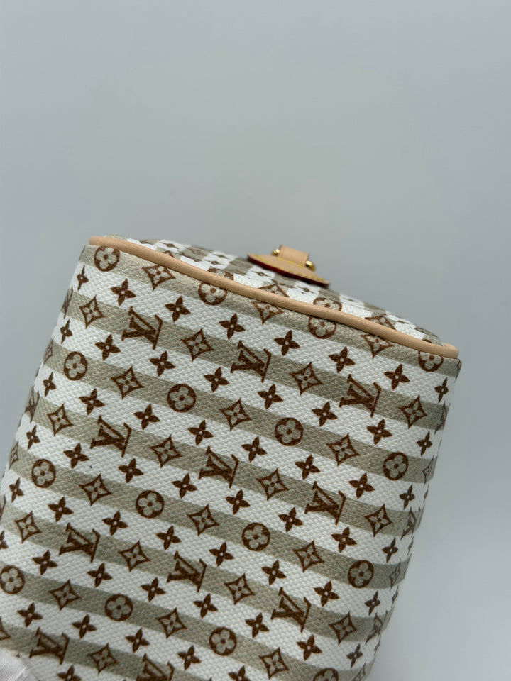 Louis Vuitton Speedy Bandoulière 20 LV Stamp