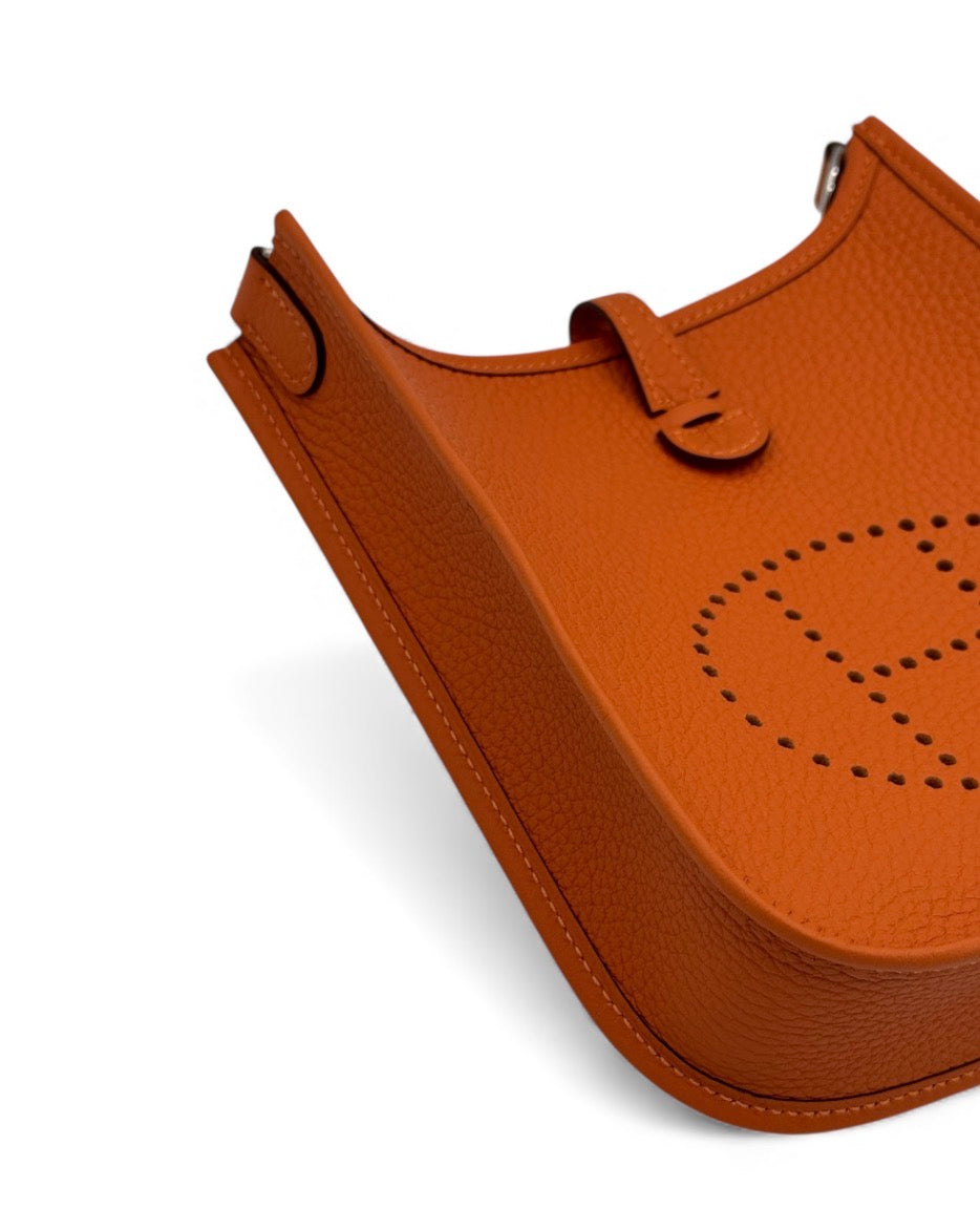 Hermès Evelyne 16 amazone