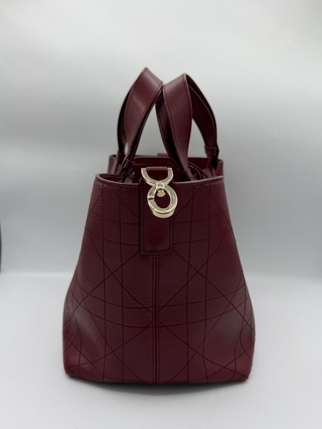 Dior Toujours Medium