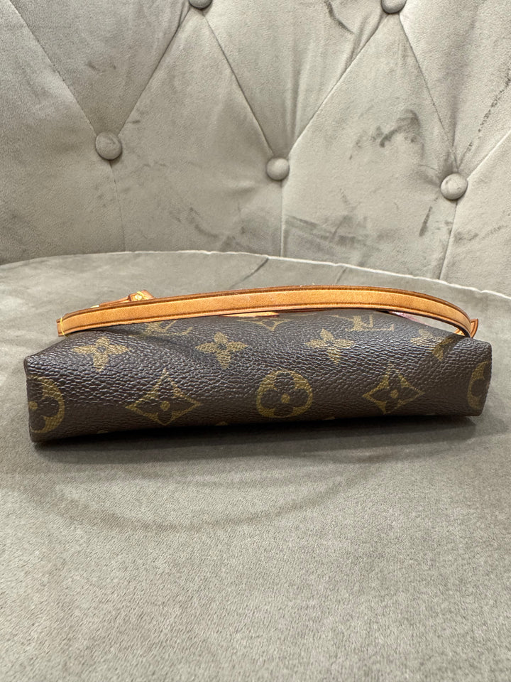 Louis Vuitton Delightful Mini – Monogram Canvas