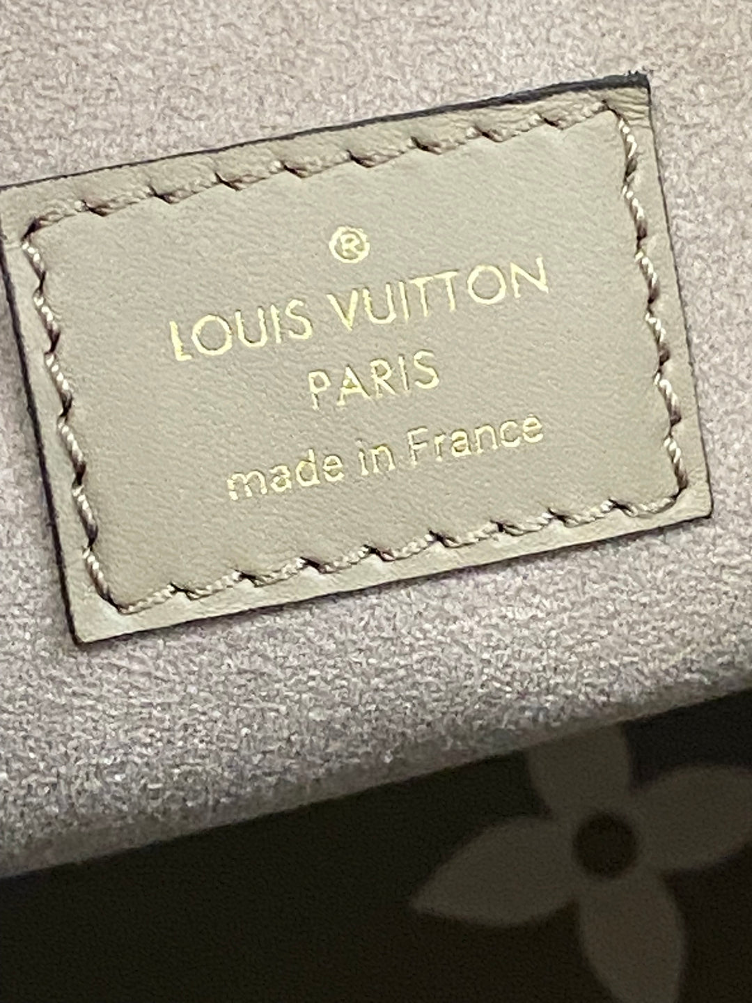 Louis Vuitton Secchiello NéoNoé in Pelle