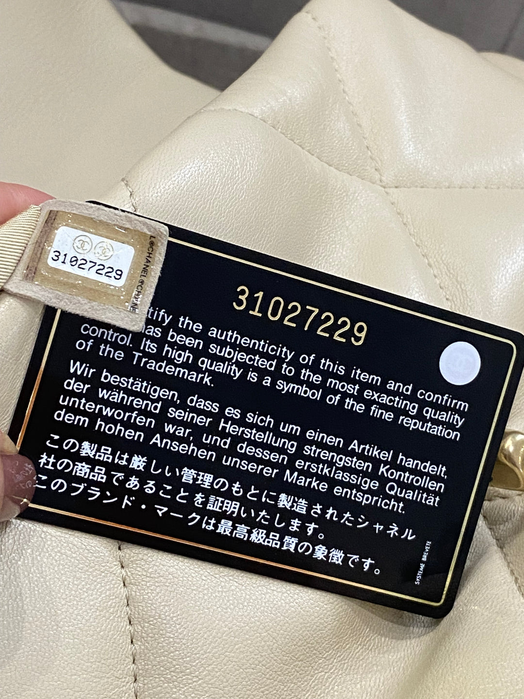 Chanel 19 Flap Bag