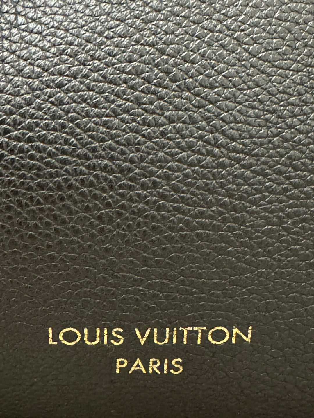 Louis Vuitton Low Key Hobo MM
