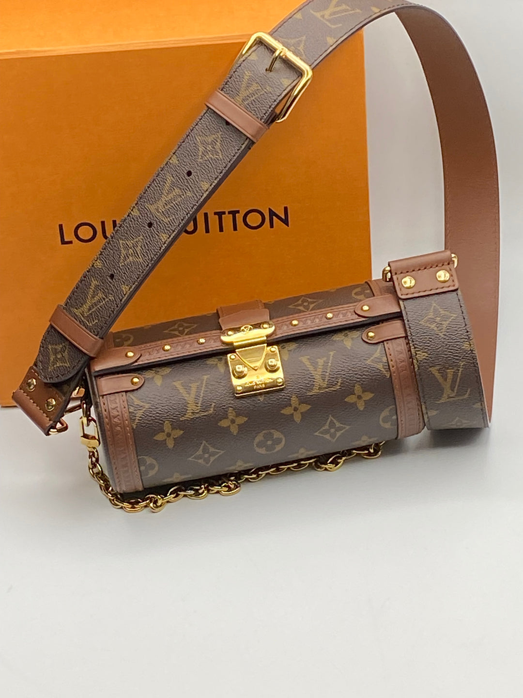 Louis Vuitton Papillon Trunk