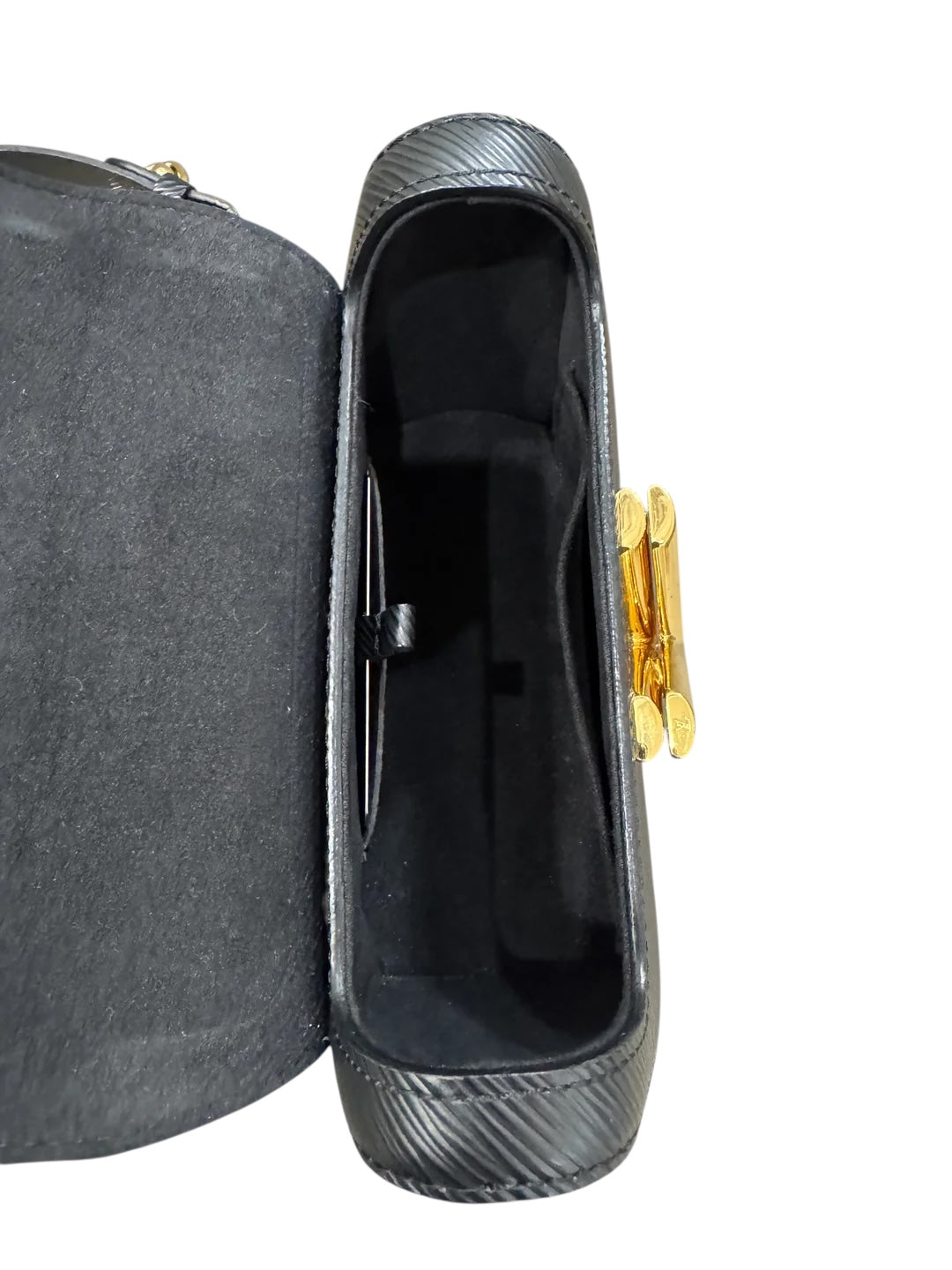 Louis vuitton twist PM