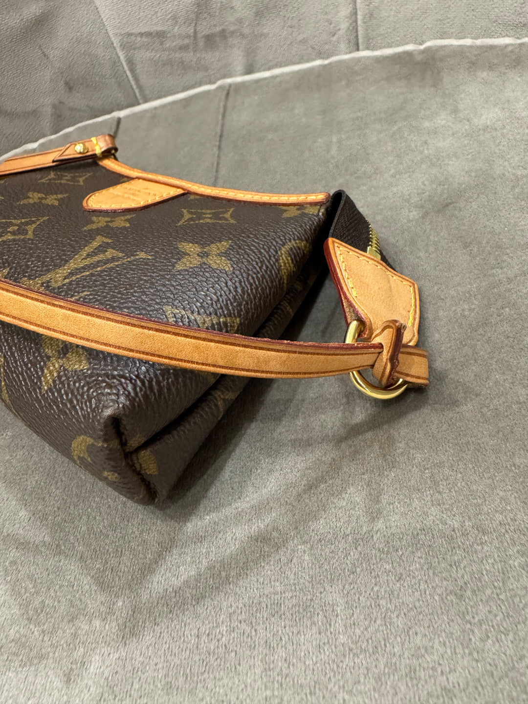 Louis Vuitton Delightful Mini – Monogram Canvas
