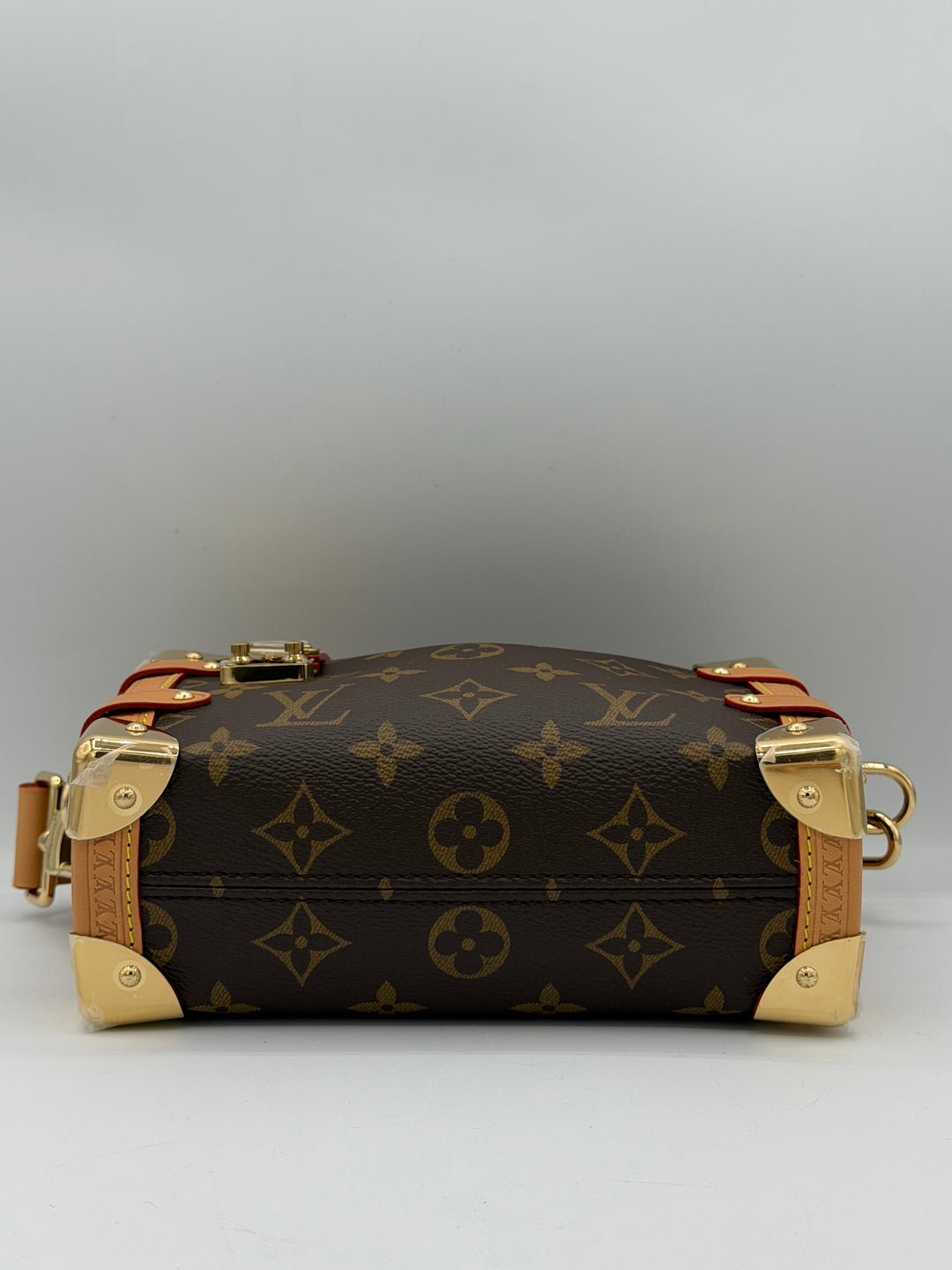 Louis Vuitton Side Trunk PM