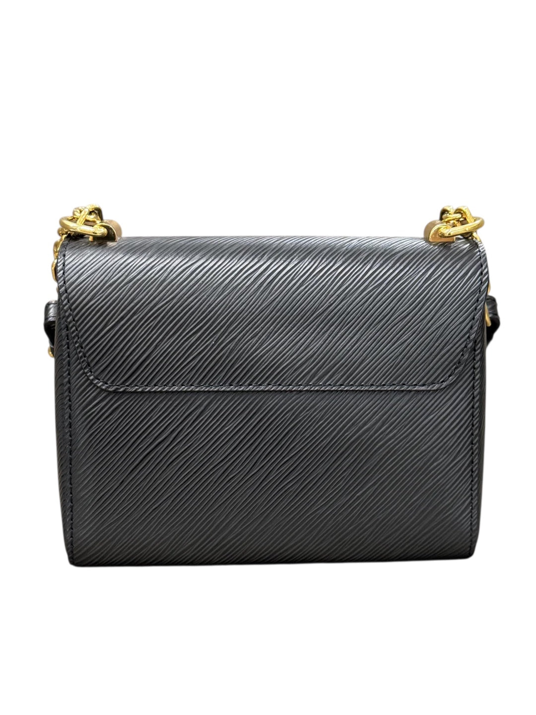 Louis vuitton twist PM