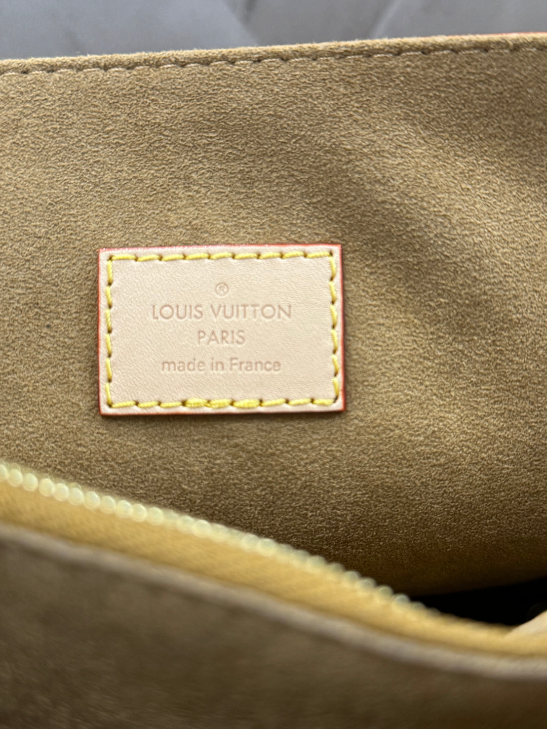 Louis Vuitton Dauphine Soft GM