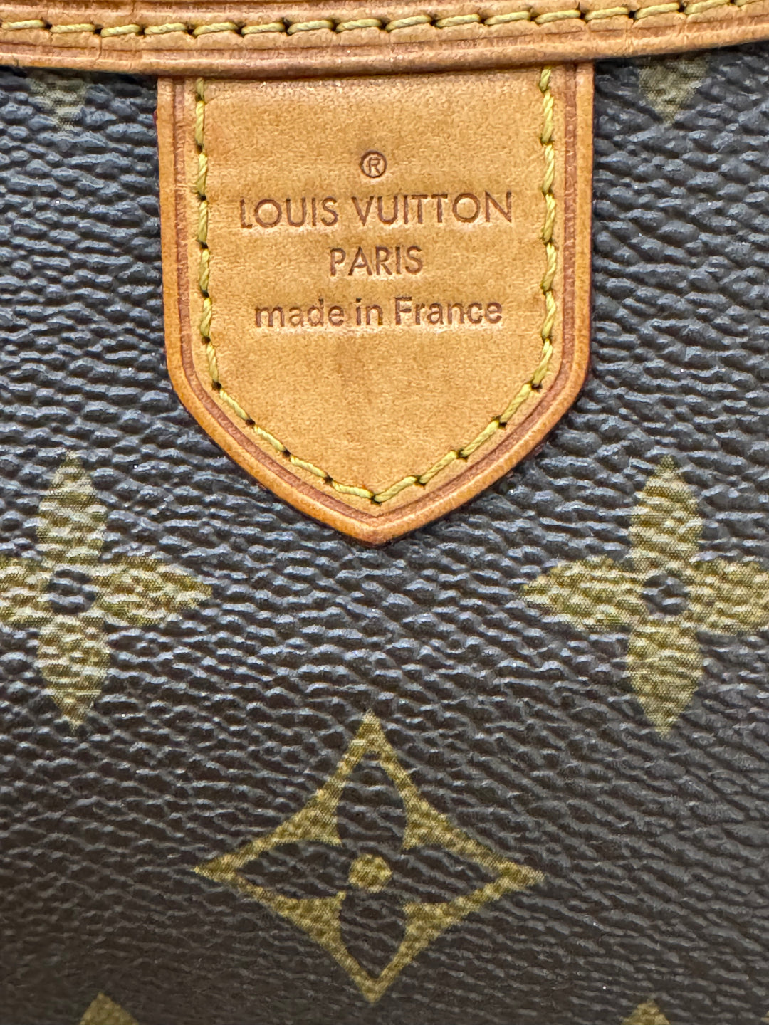 Louis Vuitton Delightful Mini – Monogram Canvas