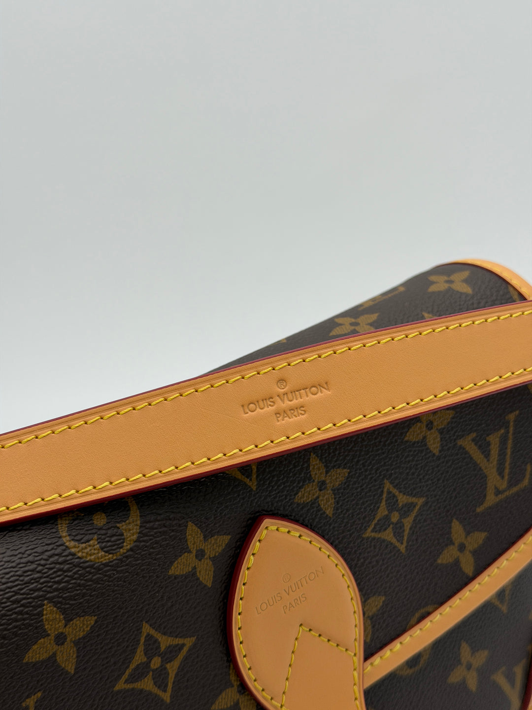 Louis Vuitton Diane Monogram