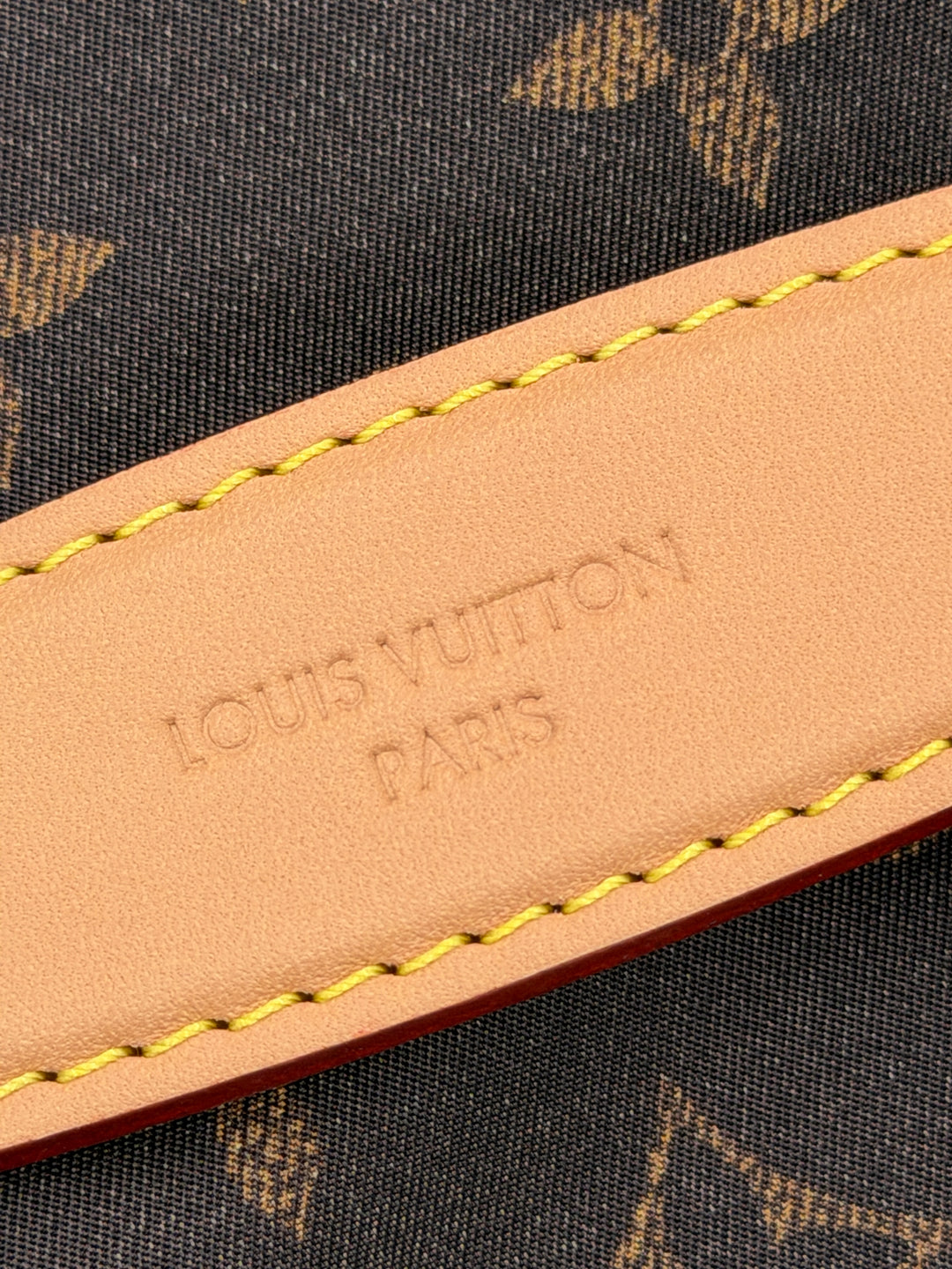 Louis Vuitton Marsupio Rush