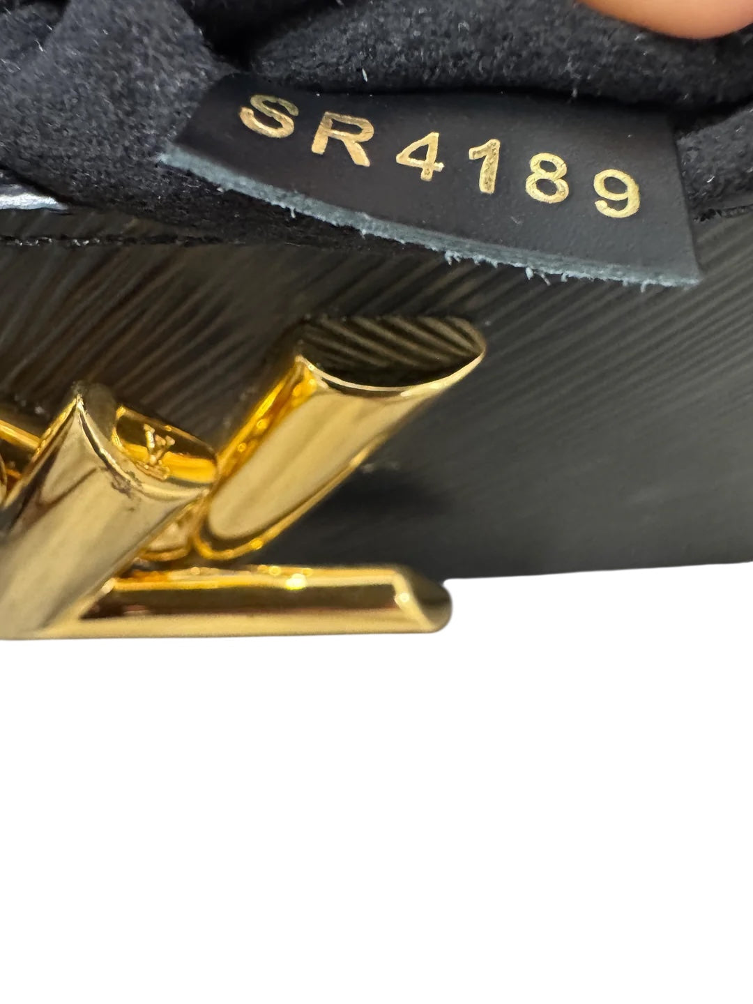 Louis vuitton twist PM