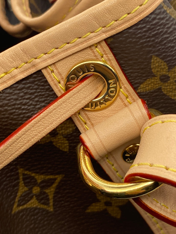 Borsa Louis Vuitton Noé