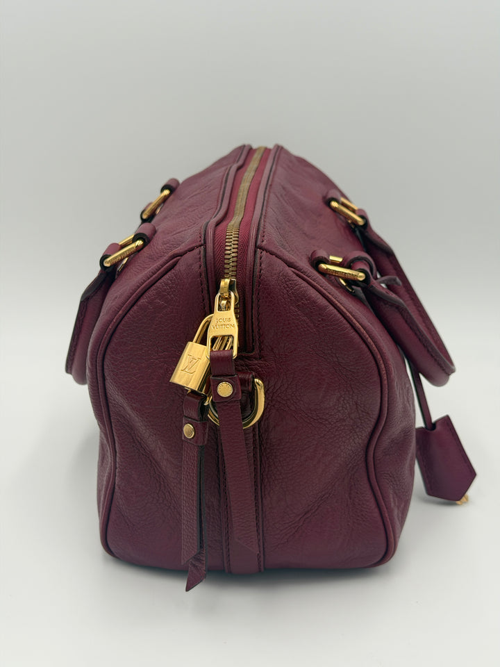 Louis Vuitton Speedy Bandoulière 25