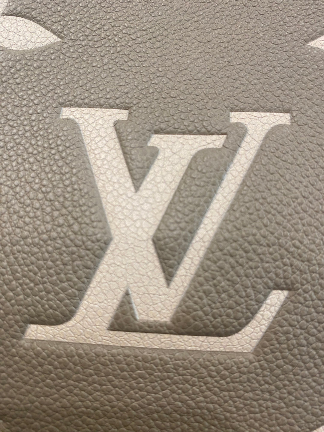 Louis Vuitton Secchiello NéoNoé in Pelle