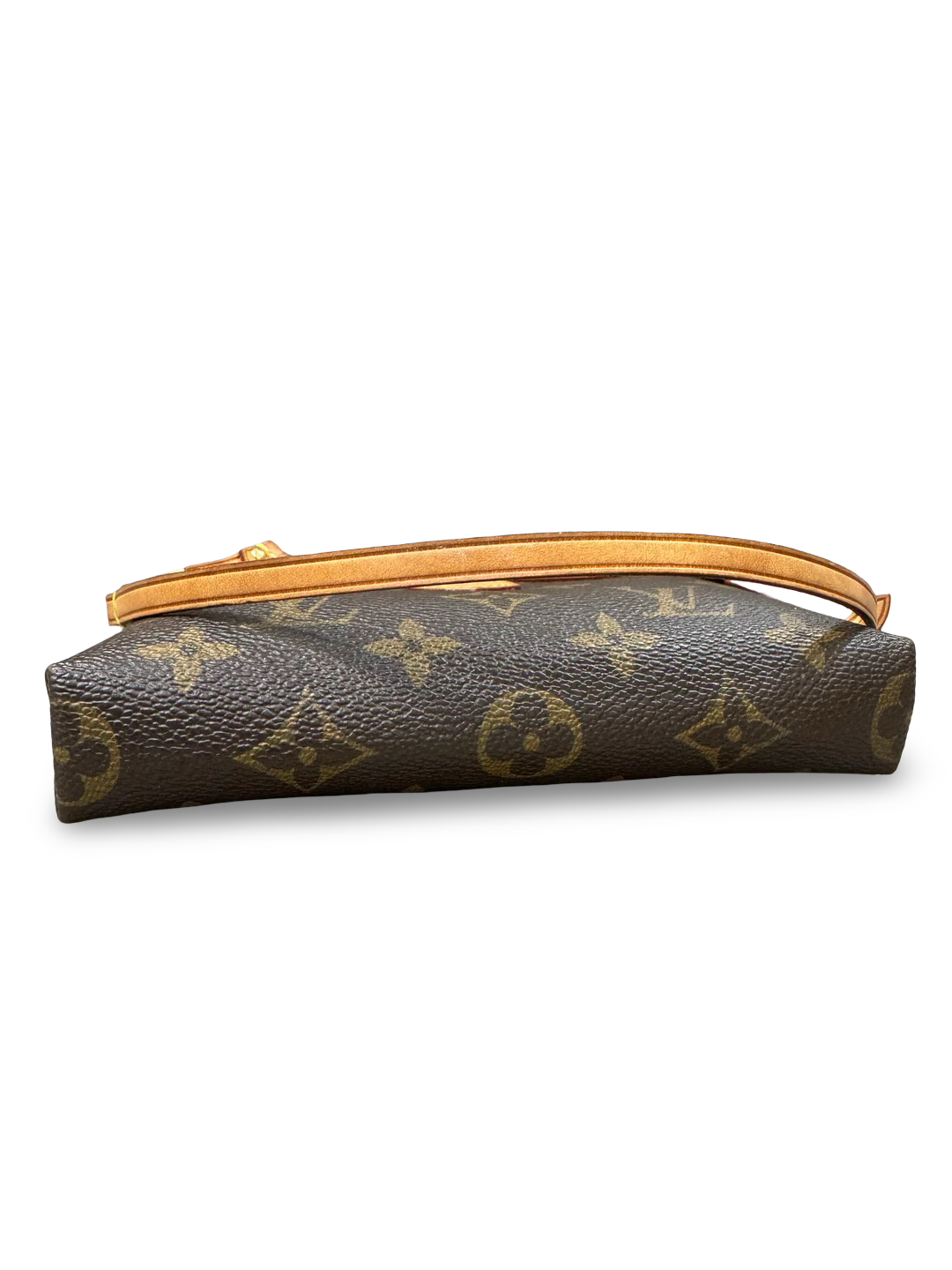 Louis Vuitton Delightful Mini – Monogram Canvas