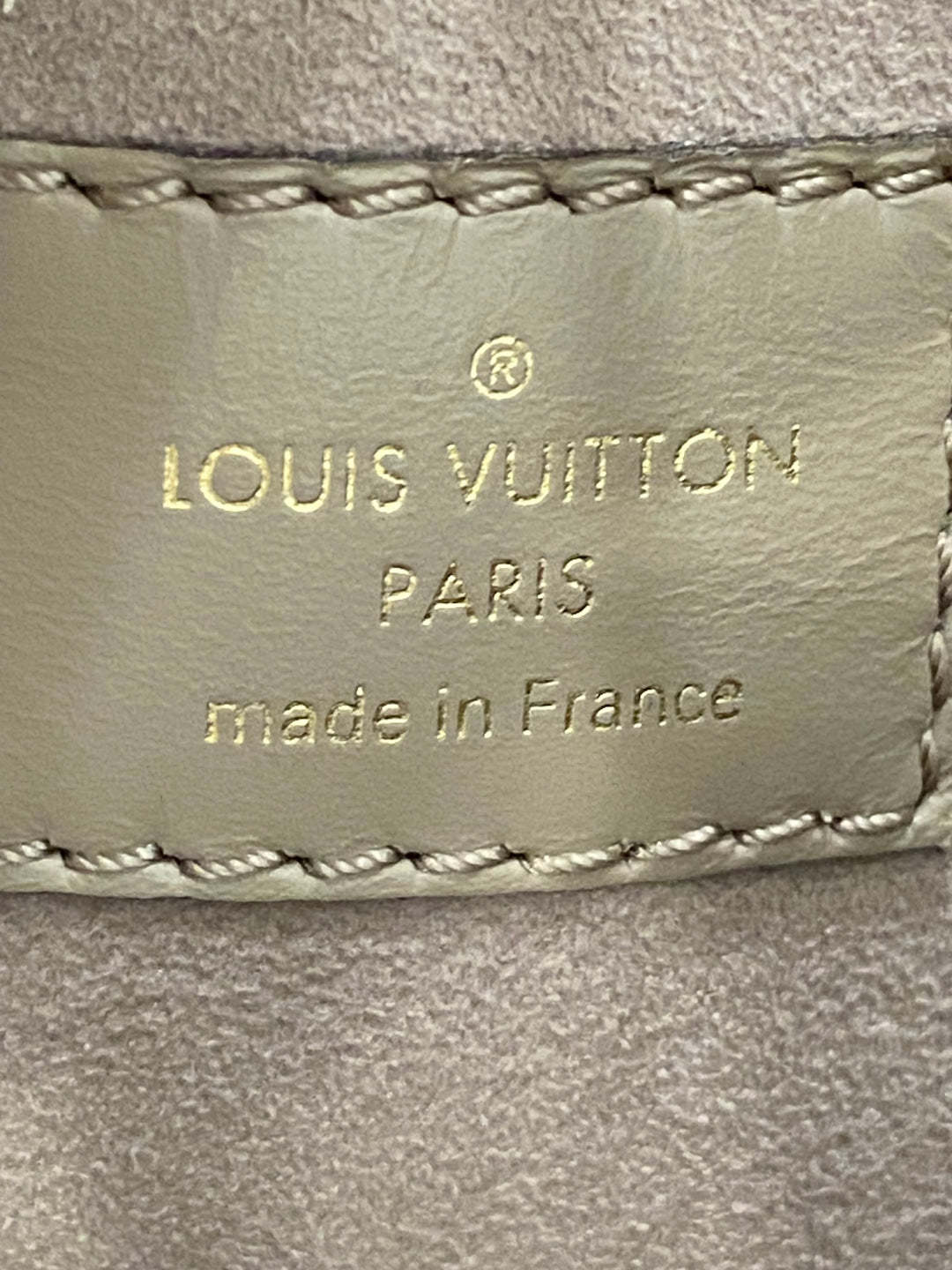 Louis Vuitton Secchiello NéoNoé in Pelle