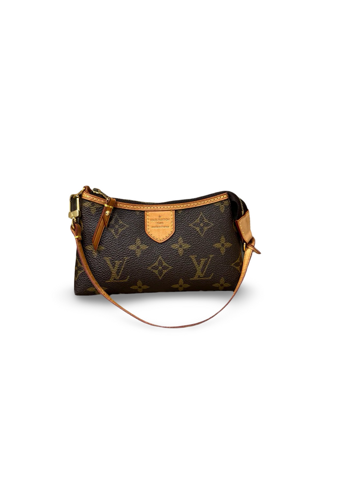 Louis Vuitton Delightful Mini – Monogram Canvas