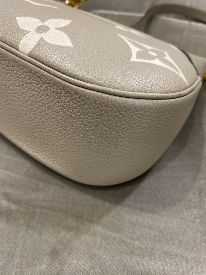 Louis Vuitton Bagatelle Hobo