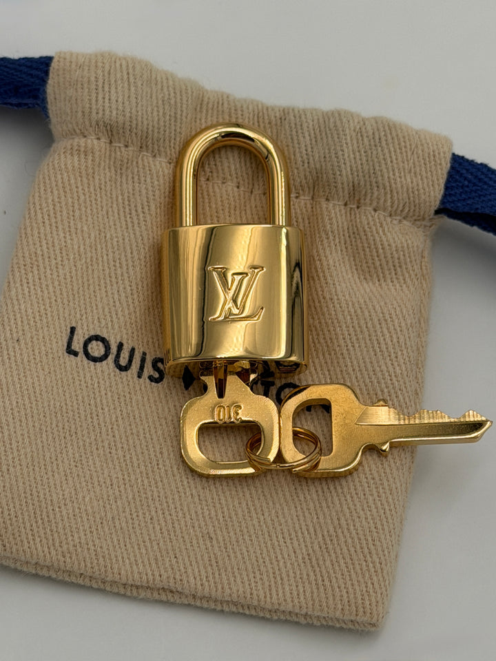 Louis Vuitton Speedy Bandoulière 35