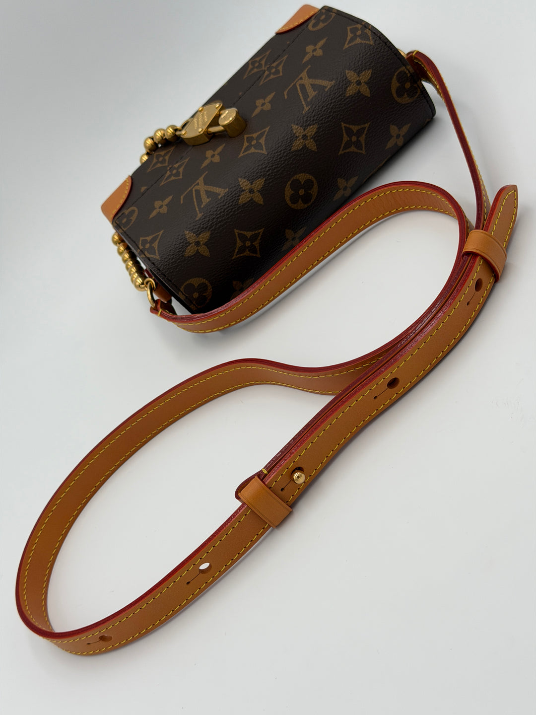 Louis Vuitton Steamer Mini