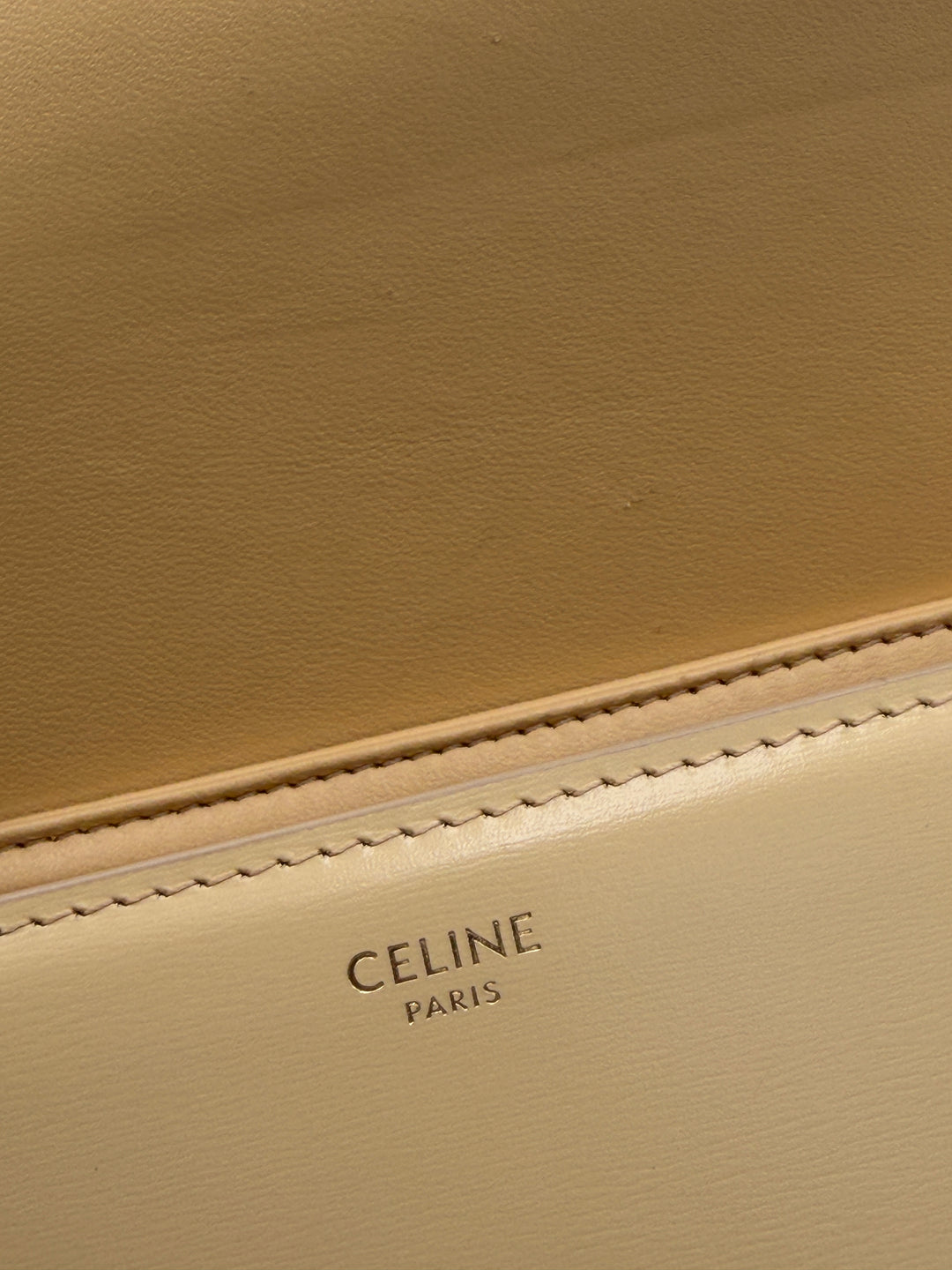 Celine Triomphe Teen